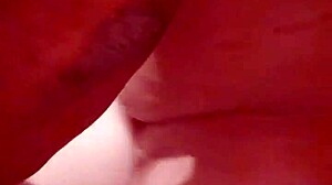 Juicy Wet Pussy Bent Over Doggystyle in Sex Swing
