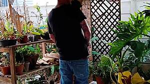 stepbro fucks me quick while daddy watches then joins kinky