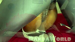 spider dude rams spider slut's tight asshole doggy pov