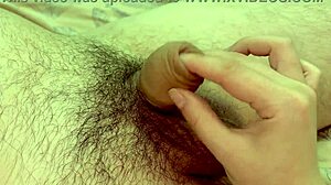 pay attention while i suck your tiny penis deepthroat cumshot