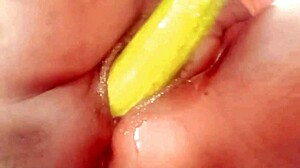 VILLAGE HOUSEWIFE'S BATHROOM FUCK HIDING FROM HUBBY DRIPS WITH WET PUSSY CUM!