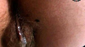 Housewife's Tight Hairy Pussy Takes Doggy Creampie From Monster Cock