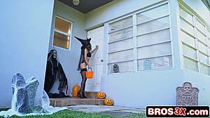 cecilia halloween hardcore bang shaved pussy doggystyle group ride