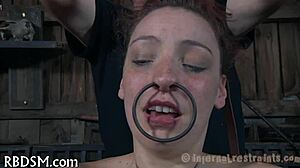 Bondage Sadomasochism