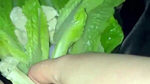 craziest food masturbation with amateur arabian stepsister