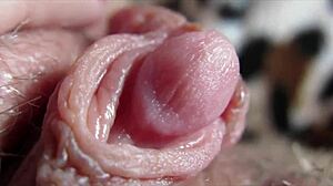 Huge Clit Rubbing Leads To Intense Orgasm
