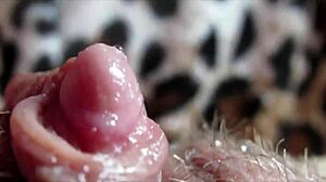 Huge Clit Rubbing Leads To Intense Orgasm