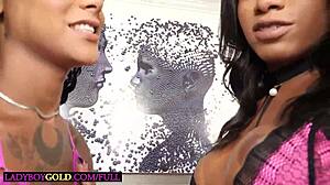 pretty latina shemales fuck each other passionately