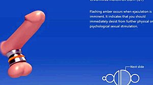 Guide to chastity ring use