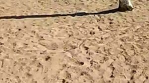 Xvideo follando talmtina de coño mojado