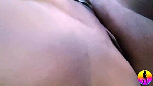 Fitness model in brazil single and single