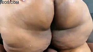 nikki nailz shakes her big ass on camera
