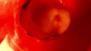 MOANING ORGASM IN A SWEET HOLE