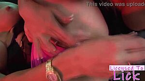 michelle thorne licensed to lick
