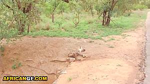 i gave my black girlfriend rough outdoor drilling