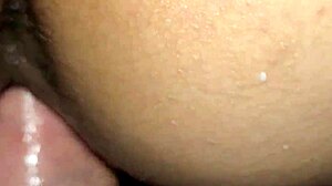 egyptian couple enjoys night together