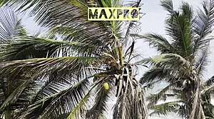 enjoy beach breeze in africa