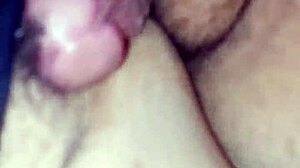 inseminando de perrito