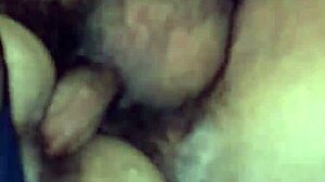 inseminando de perrito
