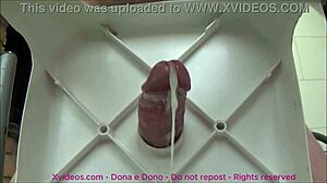 este pau da cabeça rosa está gozando sem parar para você asmr