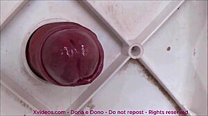 este pau da cabeça rosa está gozando sem parar para você asmr
